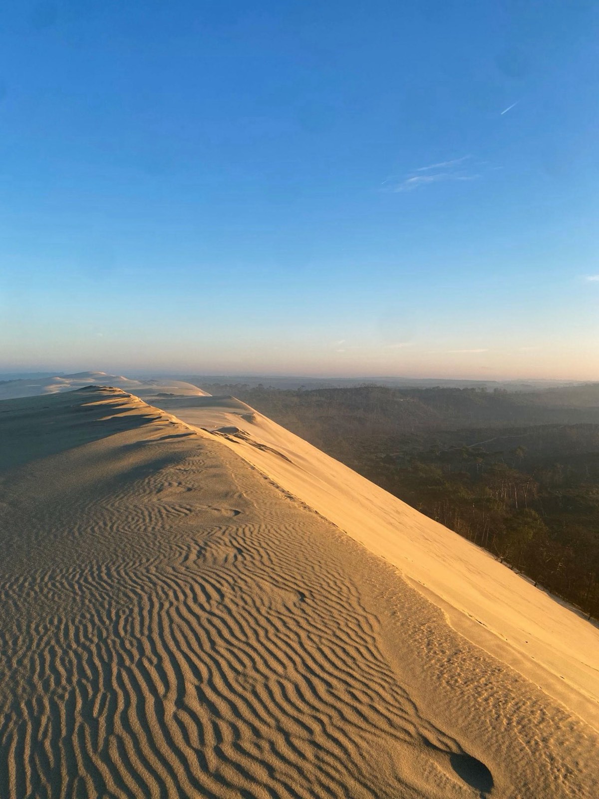 La dune du Pilat au lever du soleil, bassin d’Arcachon