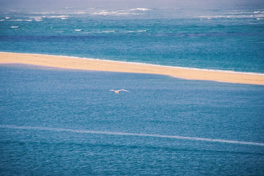 Banc d’Arguin · Bassin d’Arcachon
