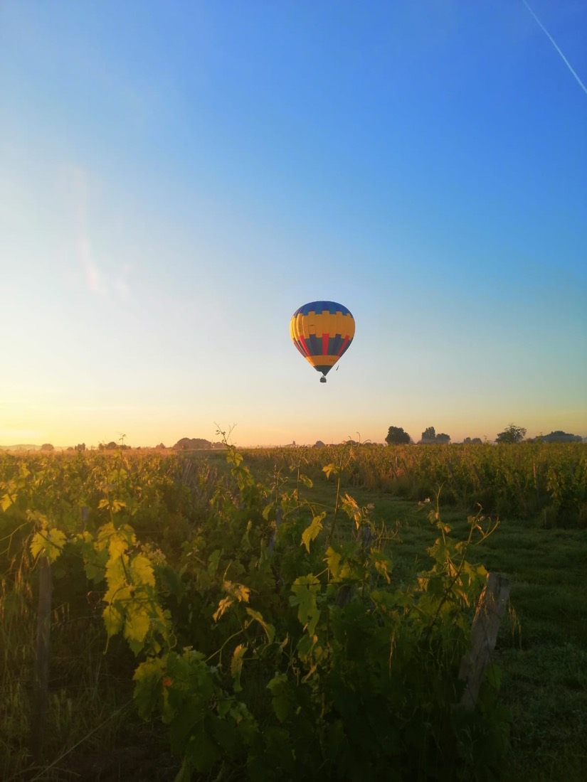 Survol en montgolfière · Vignoble