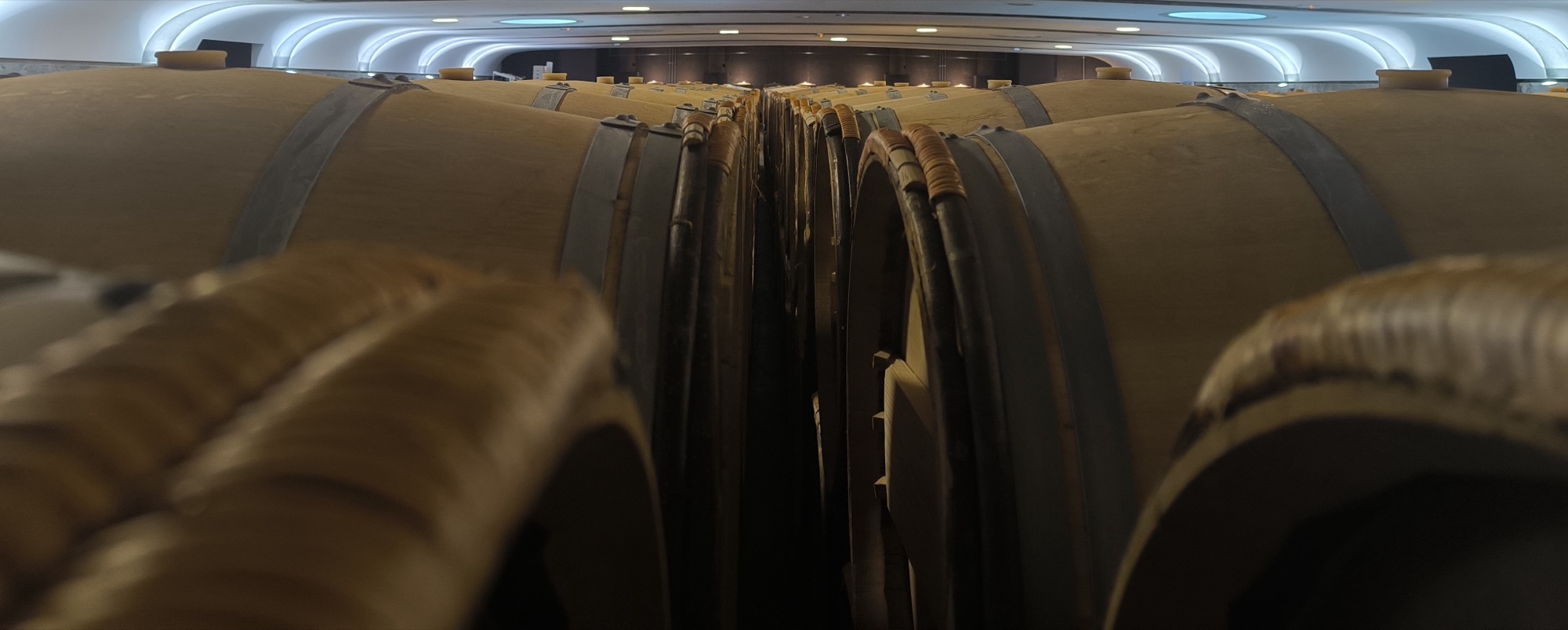 Rangées de barriques dans un chai bordelais