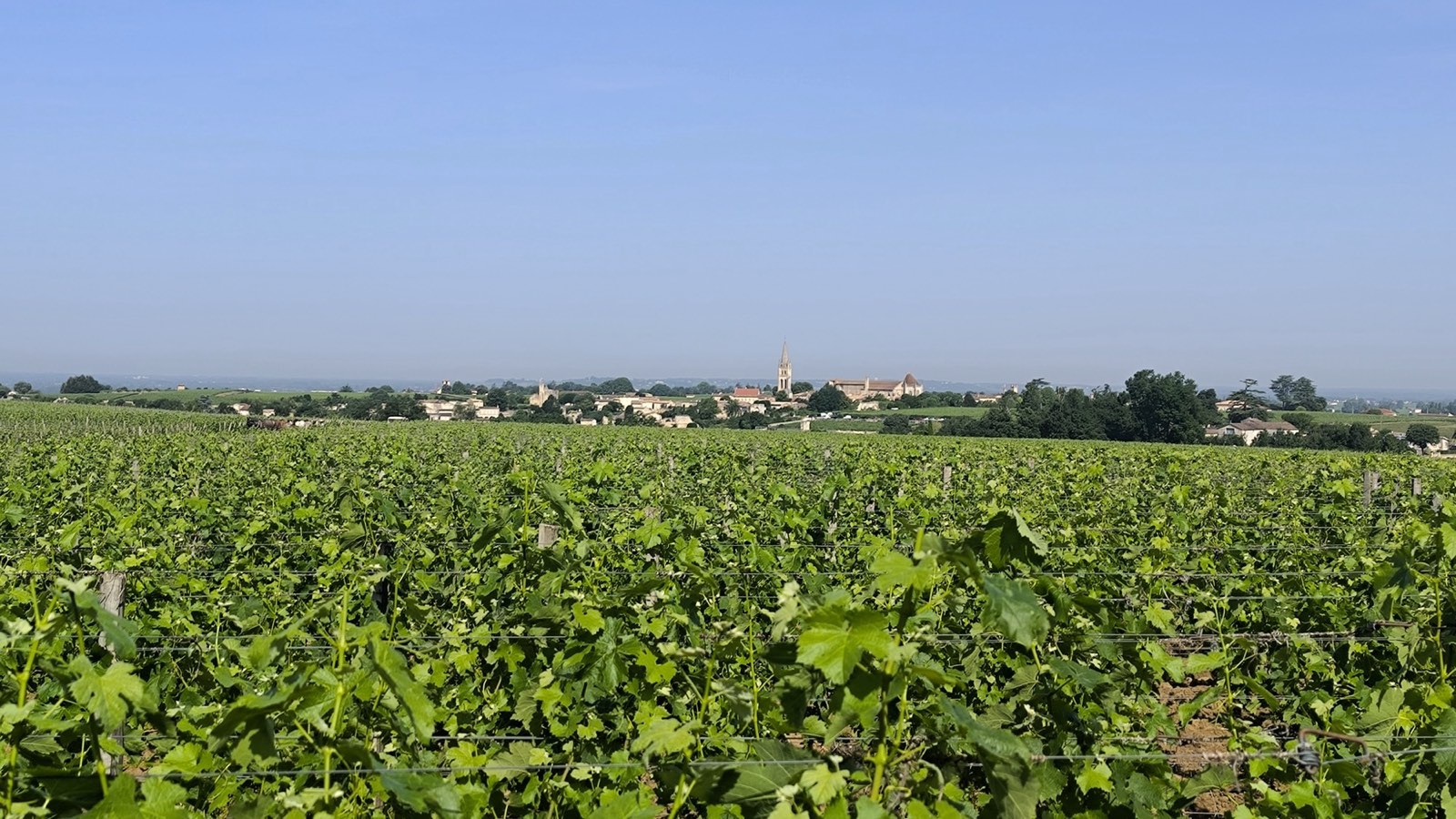 Saint-Émilion & Pomerol